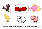 English Worksheet: What are the names of the animals?