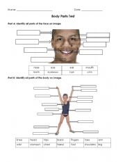 English Worksheet: body parts