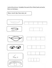 Parts of the face