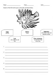 English Worksheet: Characteristics of a lionfish