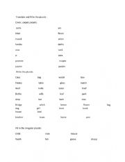 English Worksheet: test plurals