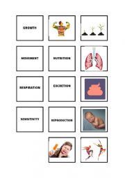English Worksheet: 7 life processess memory game
