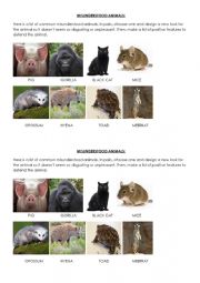 Misunderstood Animals