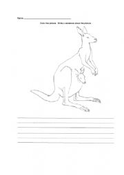 English Worksheet: Australian animals