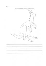 Australian animals