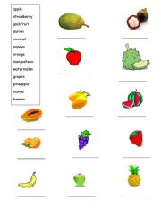 English Worksheet: Fruit Vocaburaly