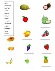 Fruit Vocaburaly