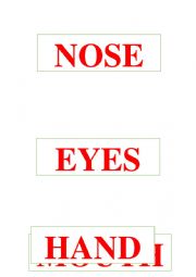 English Worksheet: body part