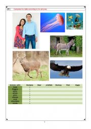 English Worksheet: Parts of the Body, Animals