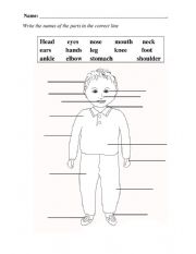 English Worksheet: Body parts