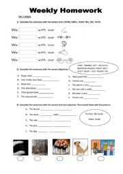 English Worksheet: the five senses and senses adjectives