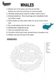 English Worksheet: Whales
