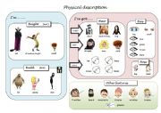 English Worksheet: Physical description, vocab