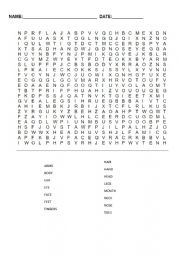 Body Wordsearch