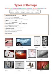 English Worksheet: Types of Damage