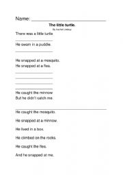The Little Turtle poem