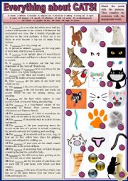 English Worksheet: Everything about cats! Gap-filling + KEY