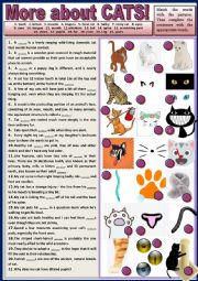 English Worksheet: More about cats! Gap-filling + KEY