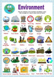 English Worksheet: Environment Pictionary