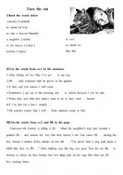 English Worksheet: Tara the cat