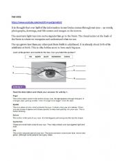 CLIL human body the eyes