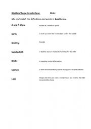 English Worksheet: Shetland Pony True and False Activity 