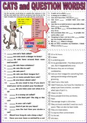 English Worksheet: Cats and Question Words + Key