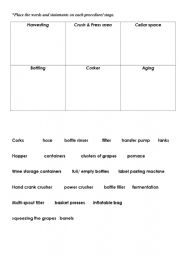 Winemaking process stages