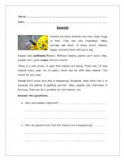 insects reading comprehension