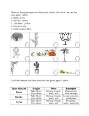 English Worksheet: Types of Plants