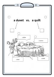 English Worksheet: duvet or quilt