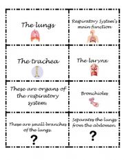 Respiratory system worksheets