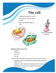 English Worksheet: CLIL the cells part 1