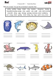 sea animals