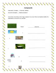 English Worksheet: compounds