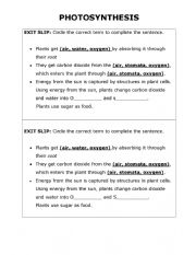 Exit Slip: Photosynthesis 