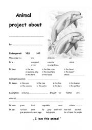 English Worksheet: Dolphin project