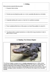 English Worksheet: Animals: Writing, Reading and Vocabulary