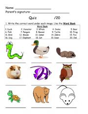 Animal quiz