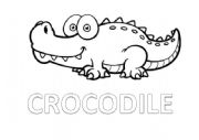 crocodile