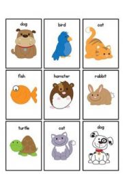 Pets flashcards