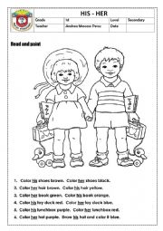 English Worksheet: his her