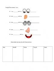 English Worksheet: FIVE SENSES AND PARTS OF THE BODY