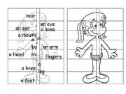 English Worksheet: Parts of body for a lapbook