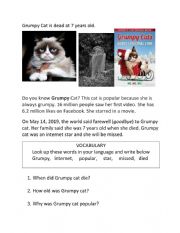 English Worksheet: Reading Comprehension