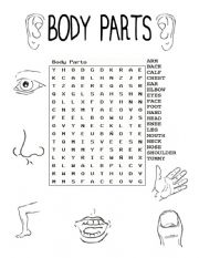 English Worksheet: Body Crossword