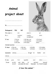 English Worksheet: Hare project