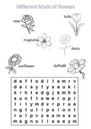 flowers wordsearch