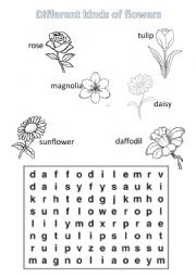 English Worksheet: flowers wordsearch