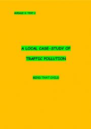 Module 3 text C - Traffic Pollution